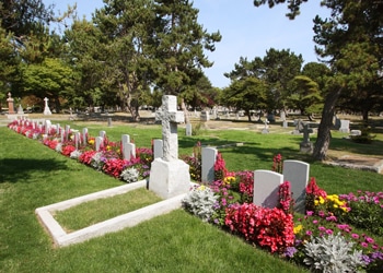 Quelles sont les meilleures fleurs pour cimetière ?